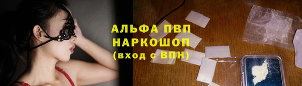 прущие грибы Балабаново