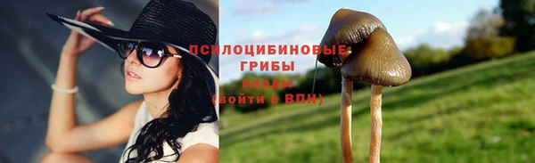 прущие грибы Балабаново