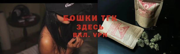 прущие грибы Балабаново