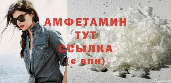 прущие грибы Балабаново