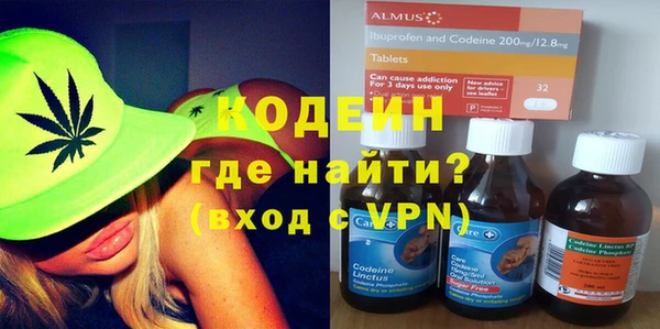 прущие грибы Балабаново