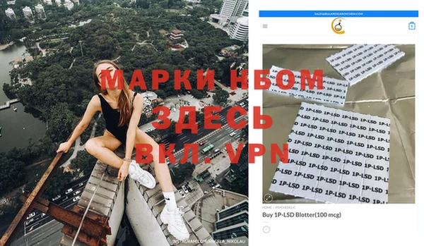 прущие грибы Балабаново