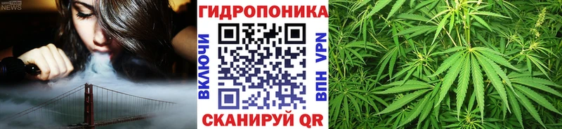 Марихуана Amnesia  Сосновый Бор 